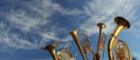 Brass Section, Horn, Musical Instrument, Person, Tuba