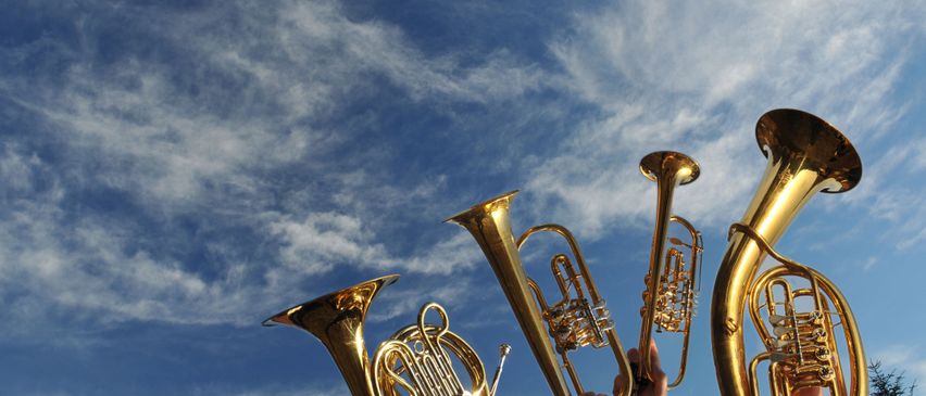 Bild enthält, Brass Section, Horn, Musical Instrument, Person, Tuba