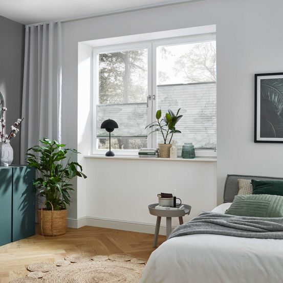 Bild enthält, Window, Plant, Windowsill, Bay Window