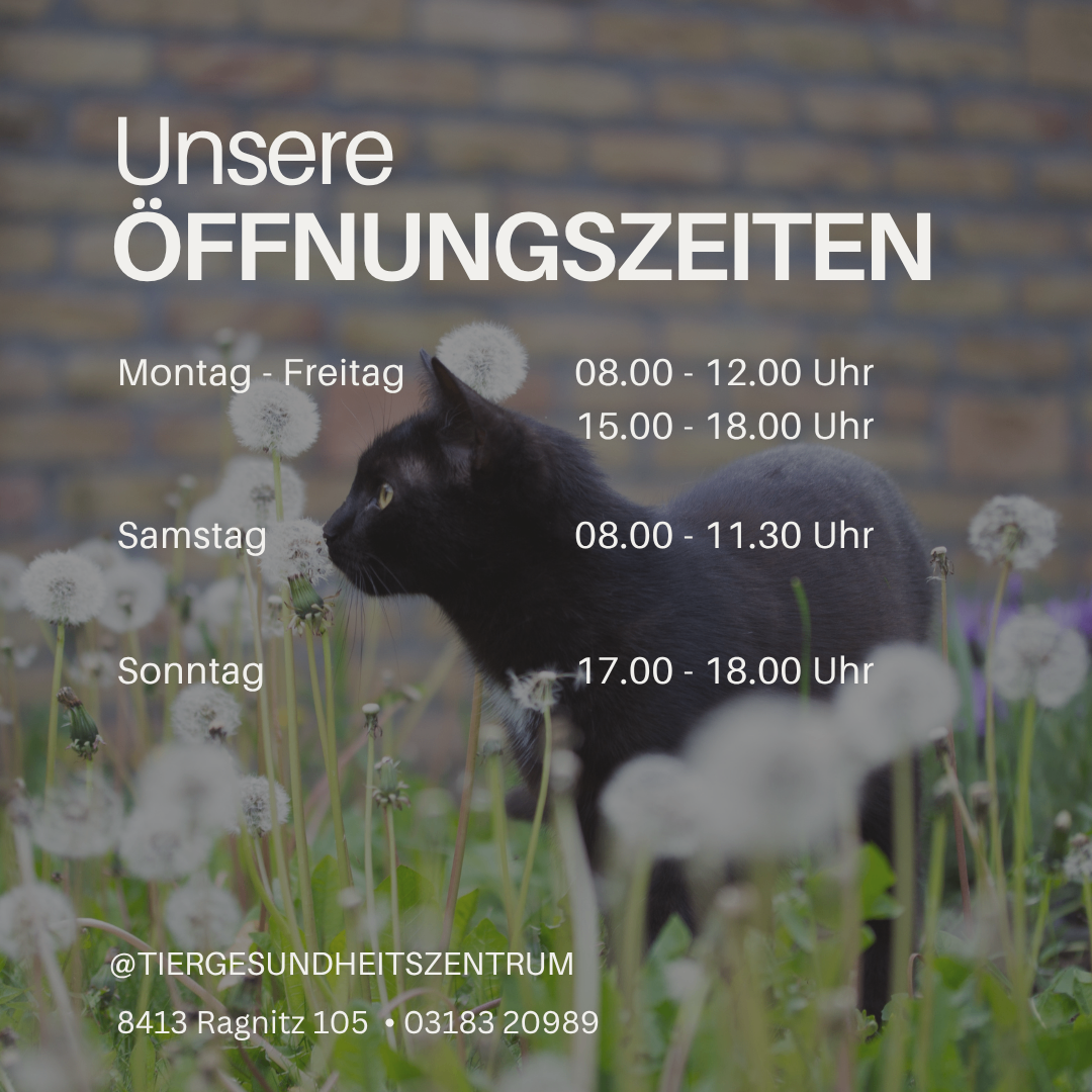 Plakat mit einer schwarzen Katze in einem Feld von Löwenzahn. Es steht 'Unsere Öffnungszeiten', mit Öffnungszeiten von Montag bis Sonntag. Kontaktinformationen für das Tiergesundheitszentrum sind ebenfalls enthalten.