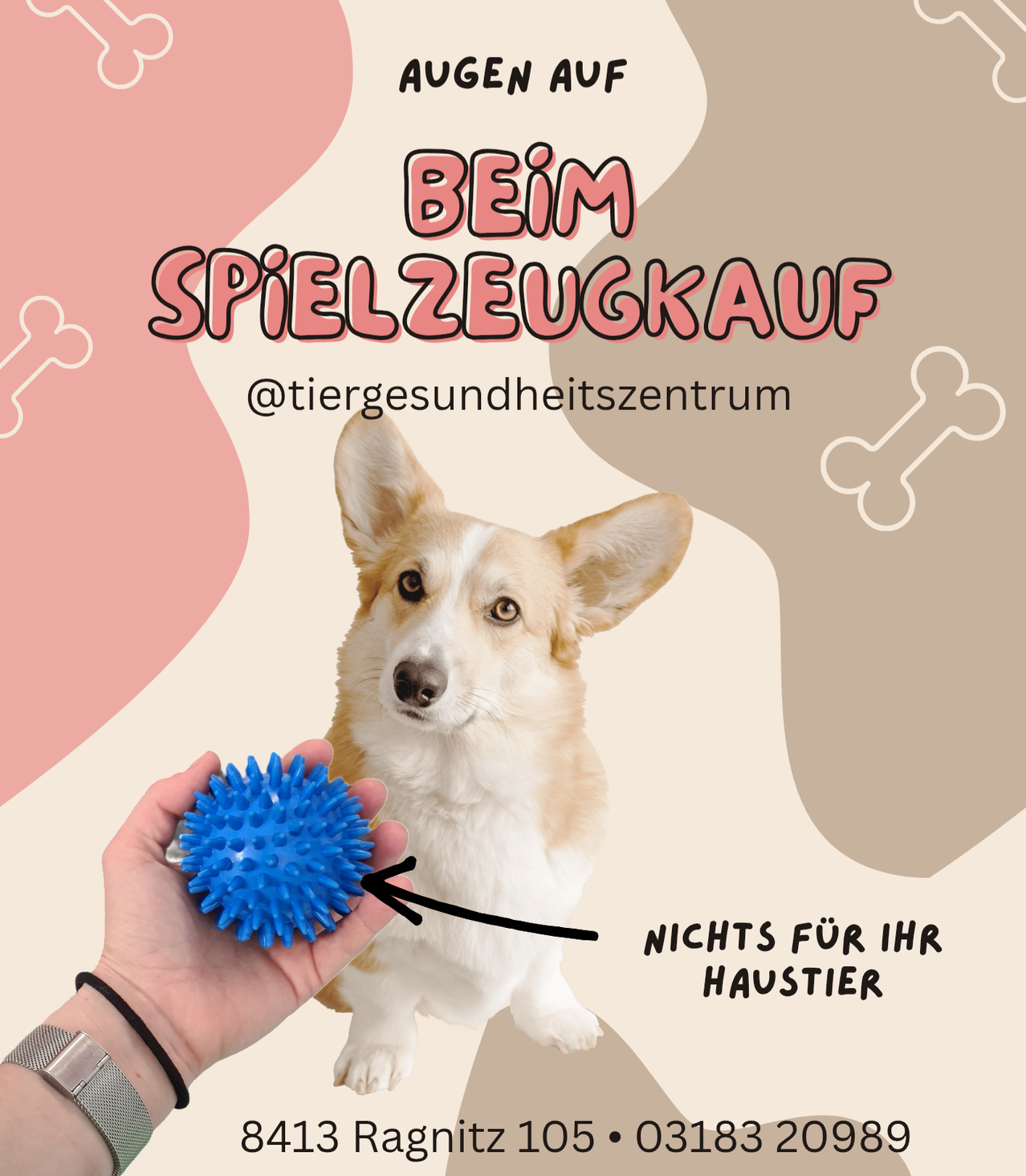 Ein Poster bewirbt den Kauf eines Spielzeugs mit einem Hund, der einen blauen spitzen Ball hält. Das Bild ist mit Hundeknochen und einem rosa Hintergrund eingerahmt. Der Text ist in Rot und Schwarz gehalten.
