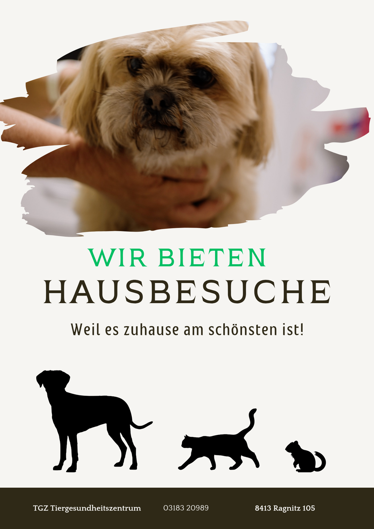 Das Bild zeigt einen Hund, der von einer Person gehalten wird, mit dem Text 'WIR BIETEN HAUSBESUCHE' und 'Weil es zuhause am schonsten ist!' in Grün. Unten sind Silhouetten eines Hundes und einer Katze zu sehen.