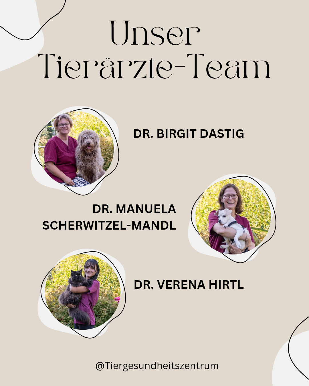 Ein Bild des Tierarztteams mit drei Ärzten: Dr. Birgit Dastig mit einem Hund, Dr. Manuela Scherwitzel-Mandl mit einem kleinen Hund und Dr. Verena Hirtl mit einer Katze.