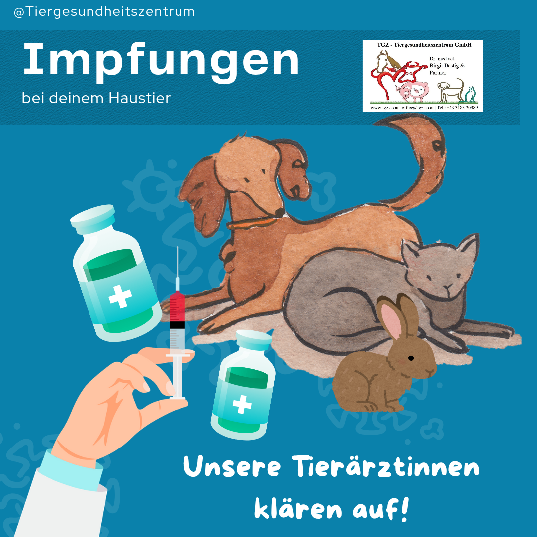 Eine Werbung für Tierimpfungen. Es zeigt eine Hand, die eine Spritze mit einer Flasche daneben hält. Es gibt auch Haustiere wie einen Hund, eine Katze und einen Hasen, die auf dem Boden liegen. Es steht 'Impfungen bei Ihrem Tierarzt'.