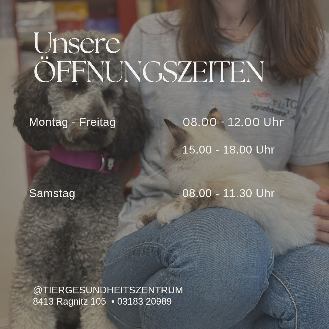 Poster mit den Öffnungszeiten eines Tiergesundheitszentrums. Montag bis Freitag 8 Uhr bis 12 Uhr und 15 Uhr bis 18 Uhr. Samstag 8 Uhr bis 11:30 Uhr. Adresse und Telefonnummer angegeben.