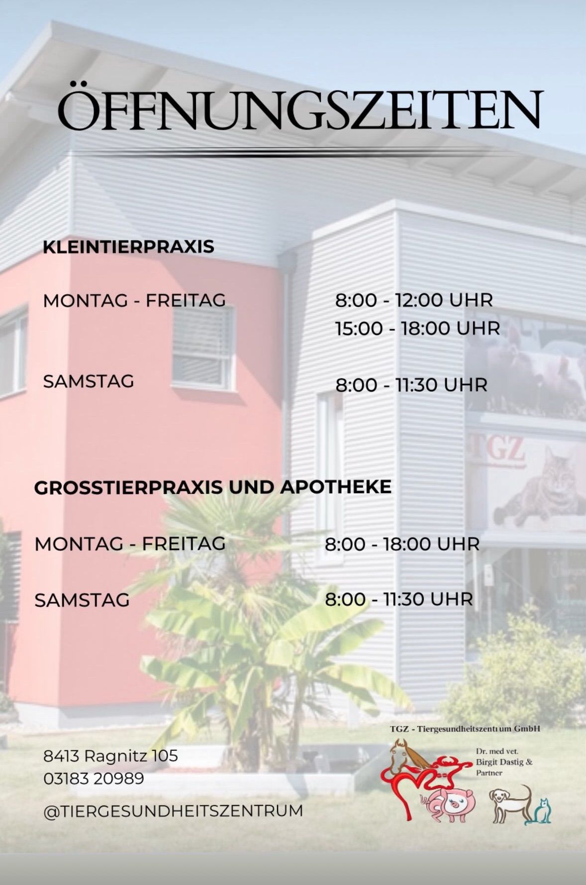 Ein Plakat für eine Tierarztpraxis mit Öffnungszeiten für Klein- und Großtierpraxis, mit einem rosa Gebäude und einer Palme im Vordergrund.