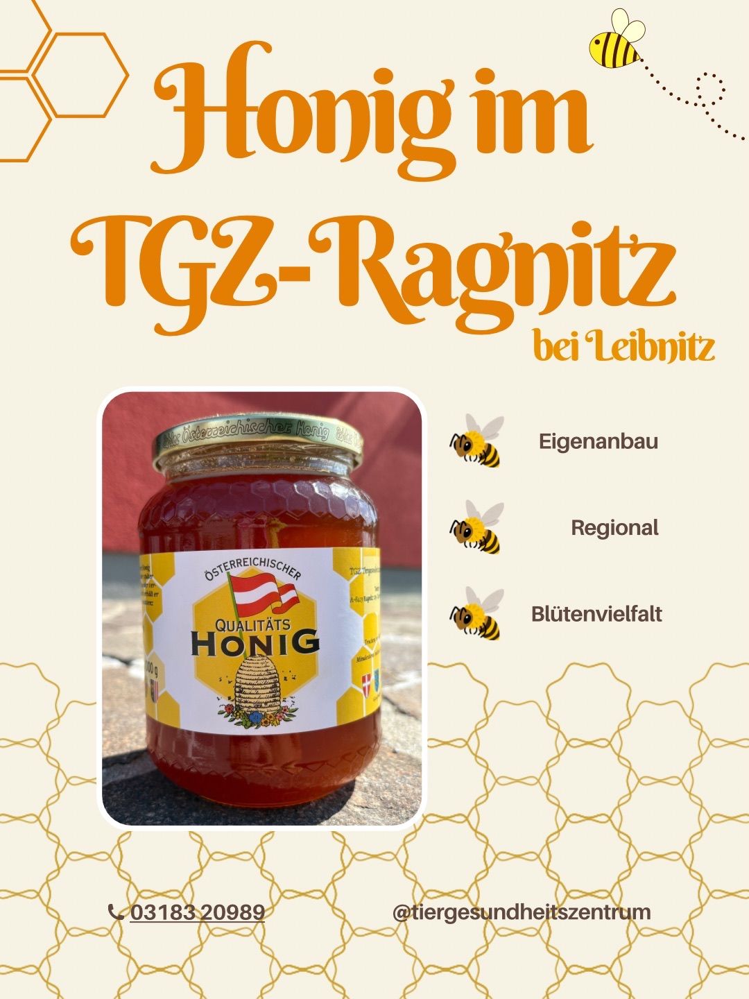Ein Glas Qualitätshonig von TGZ-Ragnitz bei Leibnitz, Österreich, mit goldenem Deckel und einem Etikett mit einer Biene und einer Flagge.