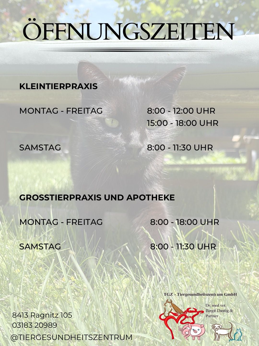 Ein Poster mit einer schwarzen Katze im Vordergrund und Text über die Öffnungszeiten einer Tierklinik im Hintergrund. Der Text lautet 'Kleintierpraxis' und 'Grosstierpraxis und Apotheke' mit entsprechenden Öffnungszeiten von Montag bis Samstag.
