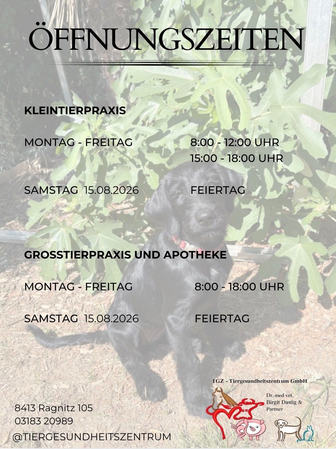 A poster with a black dog sitting in a garden, displaying veterinary clinic hours. The clinic is open Monday to Friday from 8:00 to 12:00 and 15:00 to 18:00, and Saturday 15.08.2026 is a holiday.