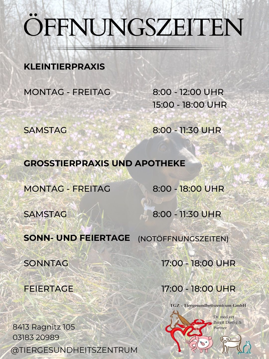 Eine Tierarztpraxis mit Öffnungszeiten. Montag bis Freitag von 8:00 bis 12:00 und 15:00 bis 18:00, Samstag von 8:00 bis 11:30. Notfallzeiten an Sonntagen und Feiertagen von 17:00 bis 18:00.