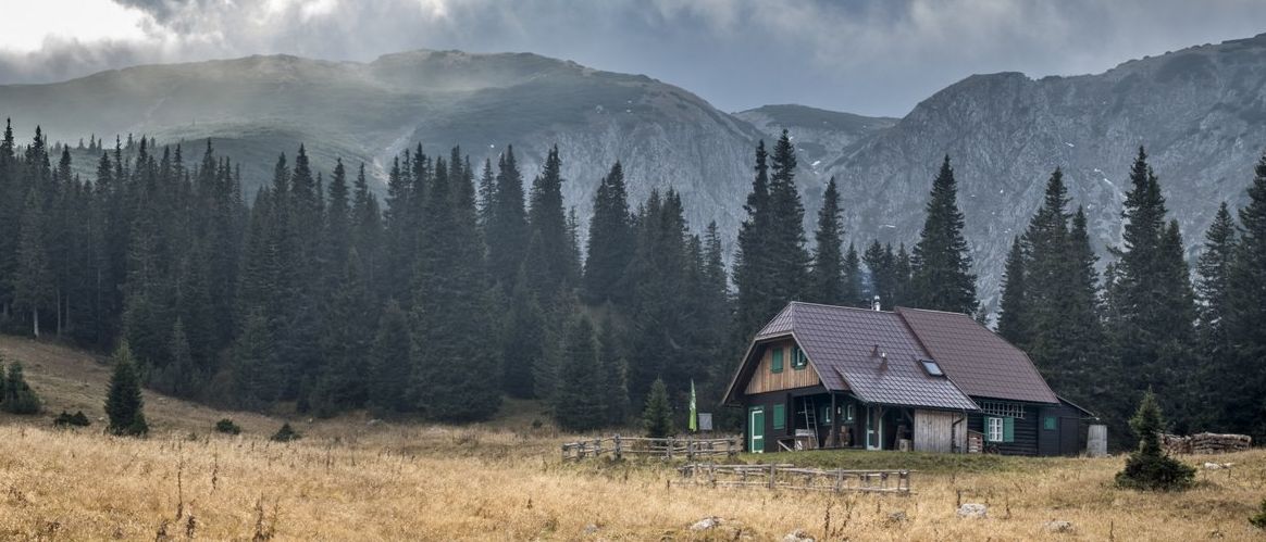 Eine ländliche Landschaft mit hohen Bäumen, einem kleinen Haus mit grünen Fenstern und einem Berg im Hintergrund unter einem bewölkten Himmel.