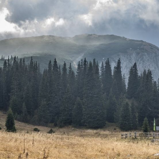 Eine ländliche Landschaft mit einem kleinen Holzhaus, umgeben von einem Feld mit trockenem Gras, hohen Bäumen und einer felsigen Bergkette unter einem bewölkten Himmel.