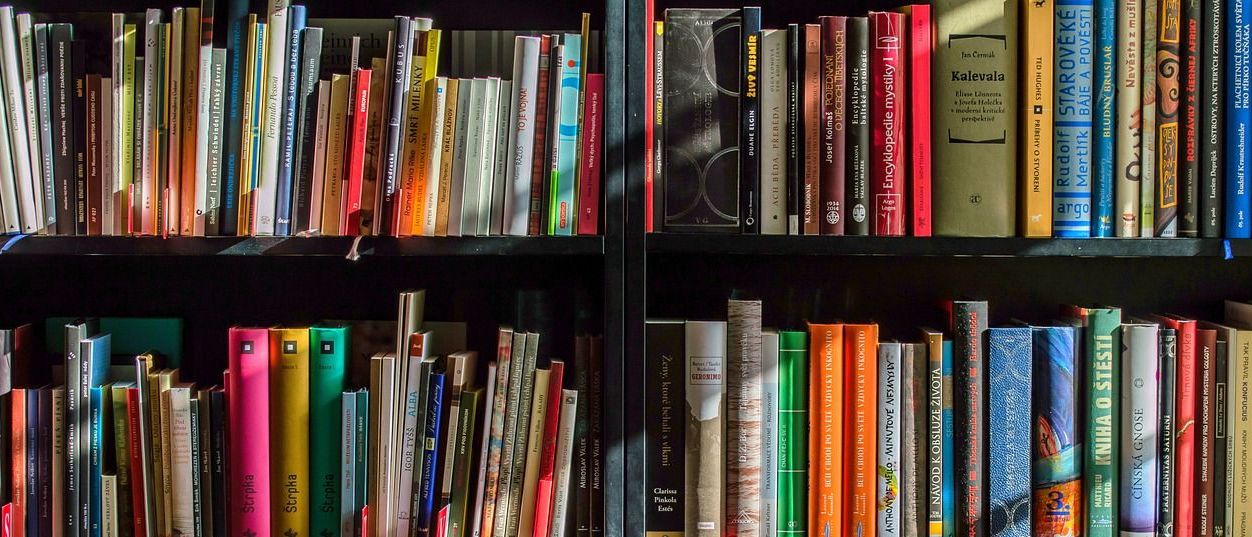 Bild enthält, Furniture, Bookcase