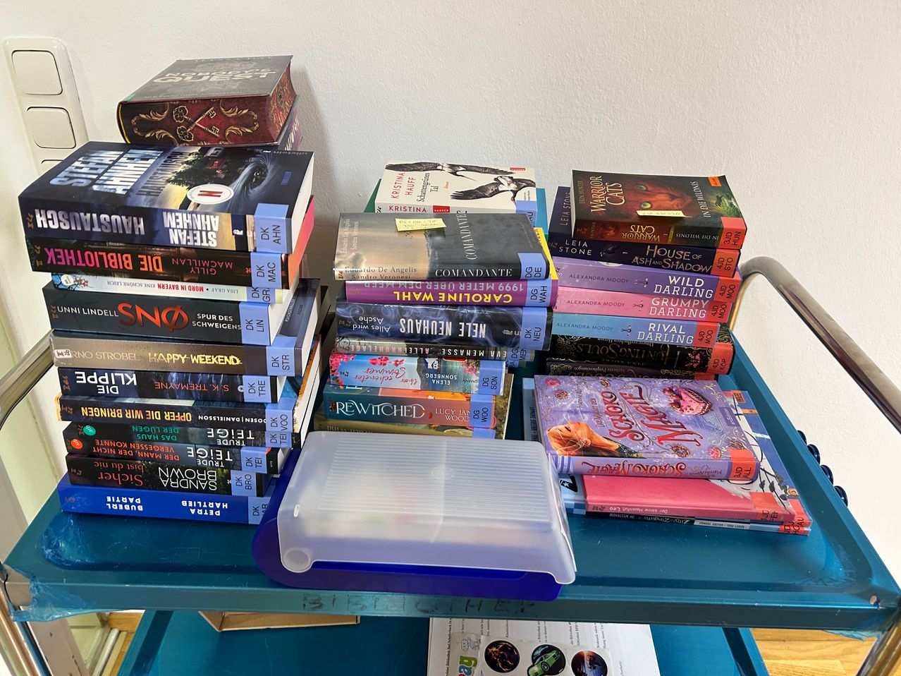 A collection of books stacked on a blue shelf, including titles like 'The Night Circus', 'The Rewitched', and 'The House of the Scorpion'. A plastic container is placed on the shelf.