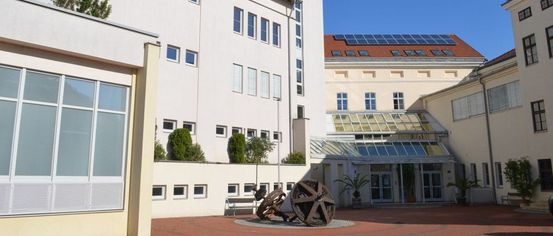 Building, Office Building, Condo, Housing, City, Urban, Plant, College