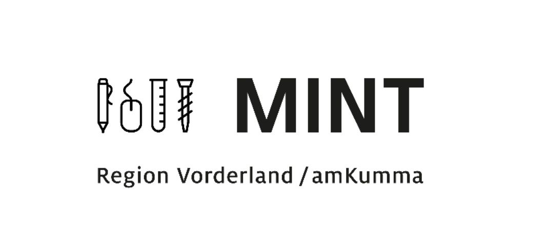 Ein Schwarz-Weiß-Bild mit dem Wort 'MINT' in Fettschrift. Darunter stehen die Worte 'Region Vorderland/amKumma'.