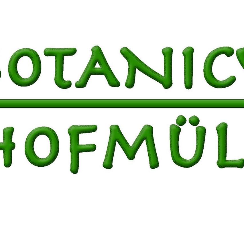 Bild enthält, Flower, Rose, Dynamite, Tulip