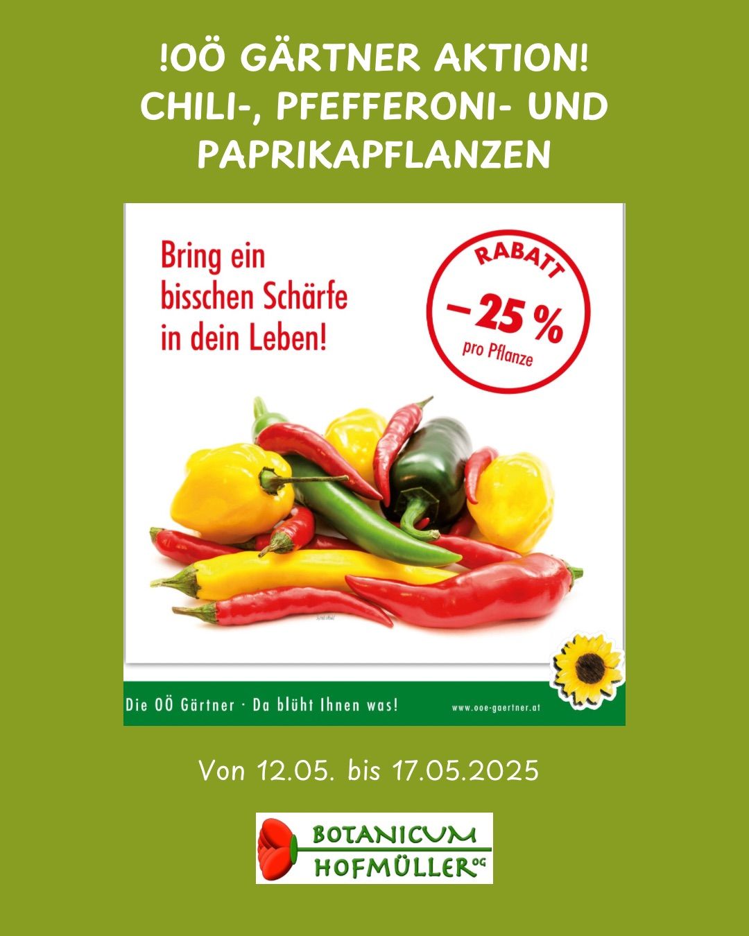Aktion für Chili-, Pfefferoni- und Paprikapflanzen. 25% Rabatt vom 12.05. bis 17.05.2025 verfügbar.