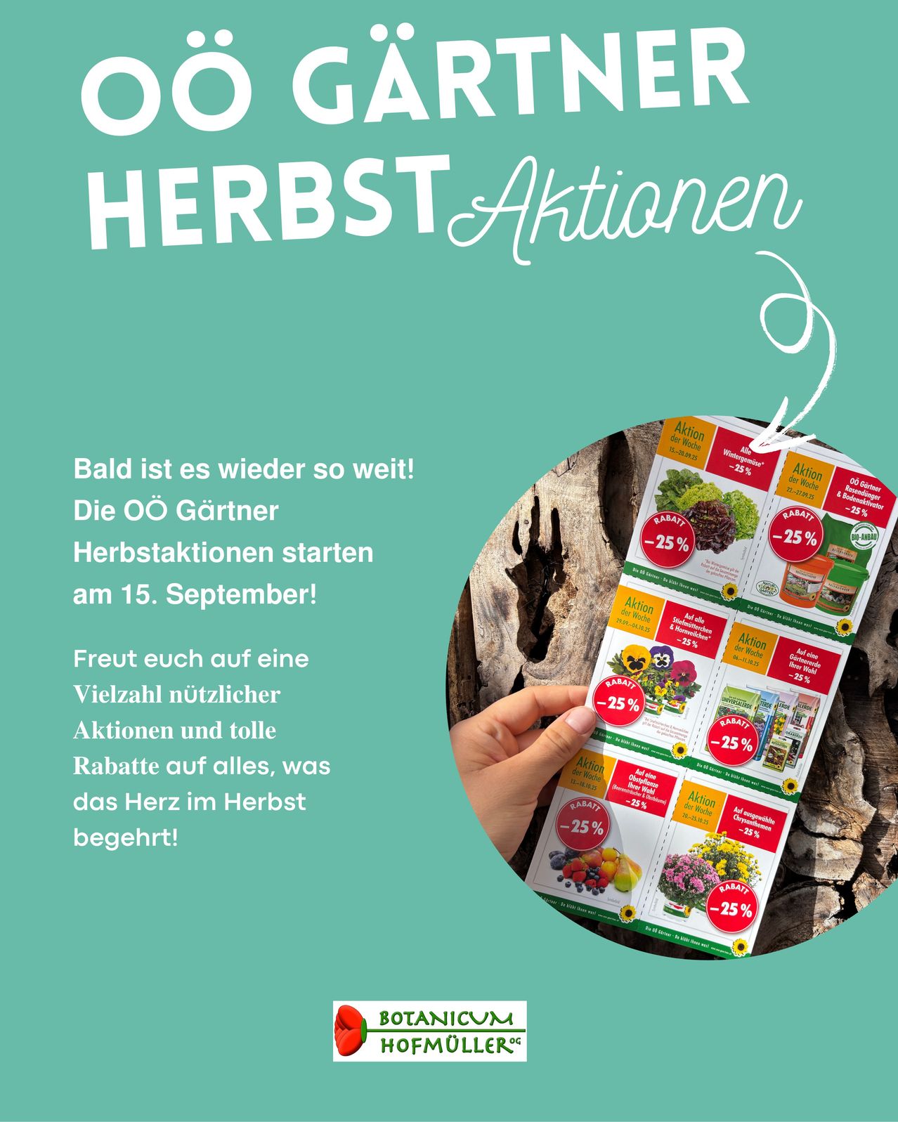 Ein Werbeplakat für Herbstrabatte von OÖ Gärtner, beginnend am 15. September. Das Plakat zeigt eine Hand, die einen Rabattflyer mit verschiedenen Rabatten hält, und eine Textüberlagerung, die den Beginn und die Attraktivität der Rabatte hervorhebt.
