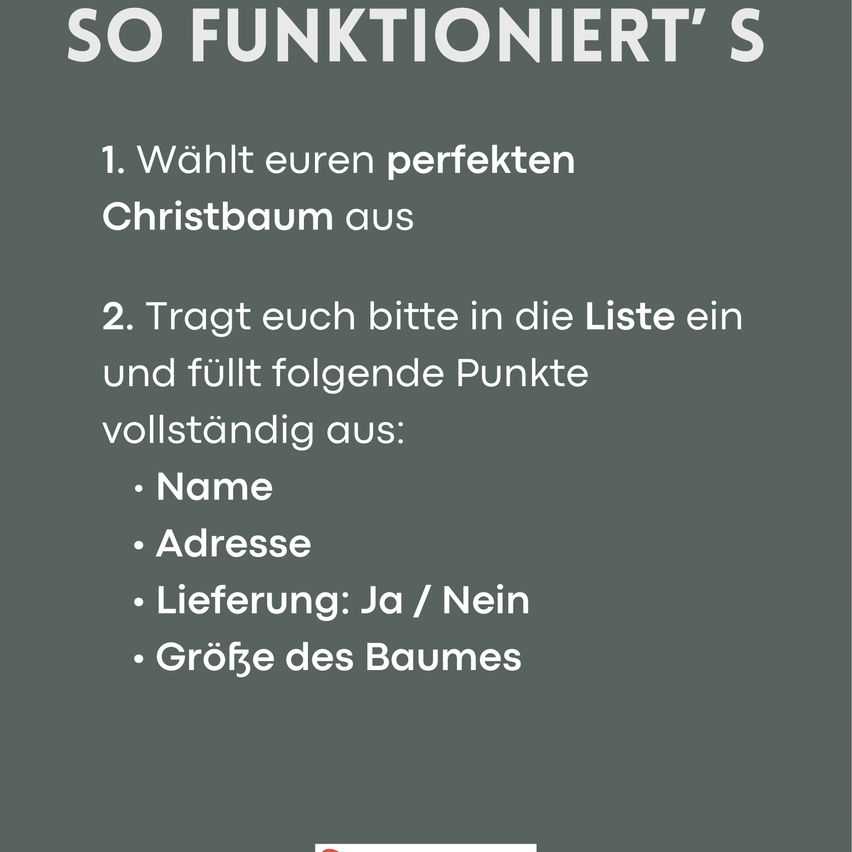 Dieses Bild zeigt eine Liste von Anweisungen zur Auswahl eines Weihnachtsbaums. Es bittet den Benutzer, ihren perfekten Weihnachtsbaum auszuwählen und ihre Details wie Name, Adresse, Lieferstatus und Baumgröße einzugeben.