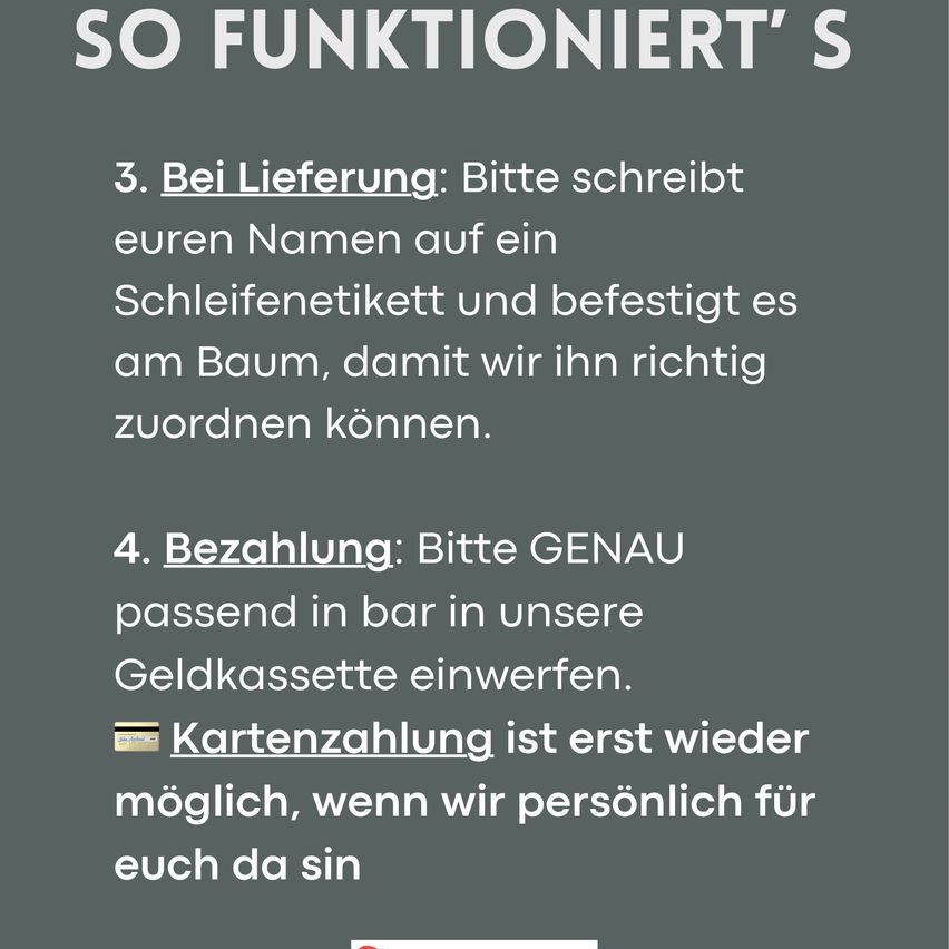 Ein Bild zeigt Anweisungen zur Abwicklung von Lieferung und Zahlung. Für die Lieferung sollten Kunden ihren Namen auf einen Zettel schreiben und ihn am Baum bestätigen. Für die Zahlung sollten Kunden genaues Bargeld in die Kasse einwerfen. Kartenzahlung ist nicht möglich.