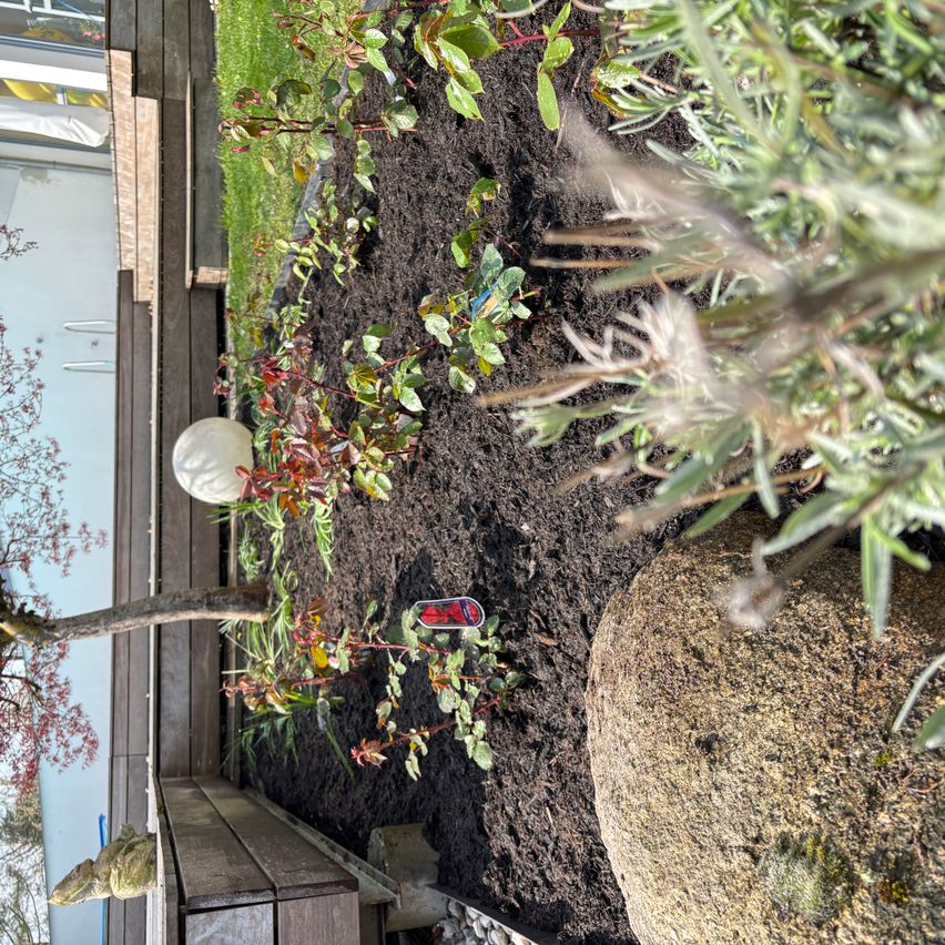 Eine Nahaufnahme eines Gartens mit verschiedenen Pflanzen, darunter eine weiße Laterne und ein roter Schuh auf der Erde. Die Pflanzen sind von einem hölzernen Rand umgeben.