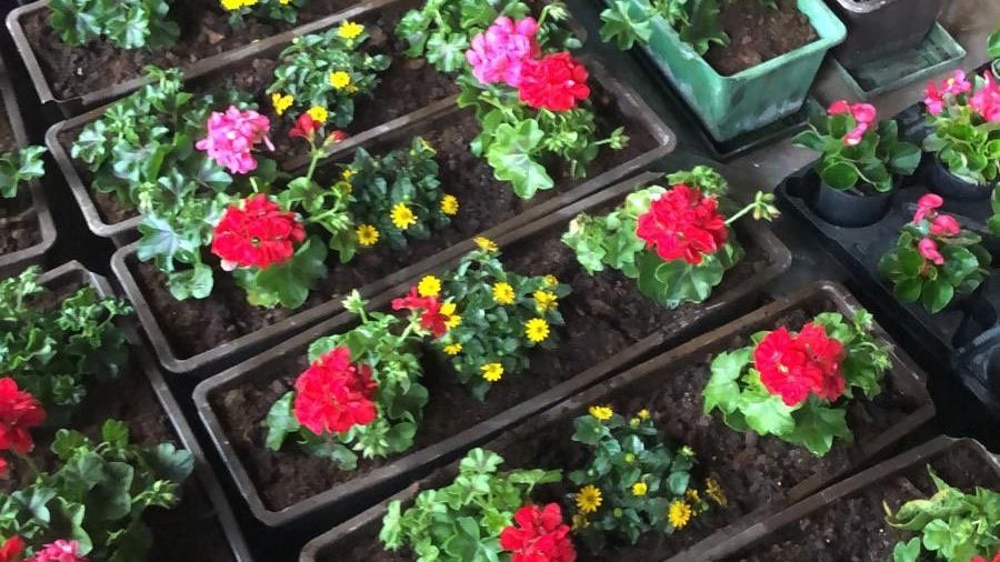 v1_migrated_image_62194352