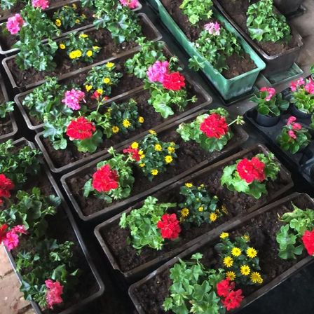 v1_migrated_image_15031335