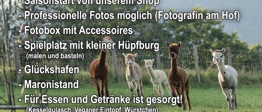 Werbeposter für einen Bauernhofbesuch am Samstag, 25. Oktober 2025, von 10:00 bis 17:00 Uhr. Aktivitäten umfassen Hoftouren, Ladeneröffnung, Fotomöglichkeiten und einen Spielplatz. Essen und Getränke sind vorhanden. Alpakas und Papageien begrüßen Besucher.