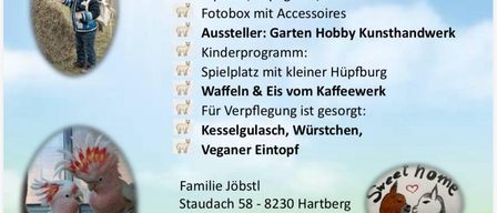 Veranstaltungsposter für Samstag, 18. April 2026, 10:00-17:00. Aktivitäten umfassen Alpakas, Papageien, Hühner, Fotobox, Garten Hobby Kunsthandwerk, Kinderprogramm, Spielplatz, Waffeln und Verpflegung. Kontaktieren Sie Monika unter 0664 413 08 40.