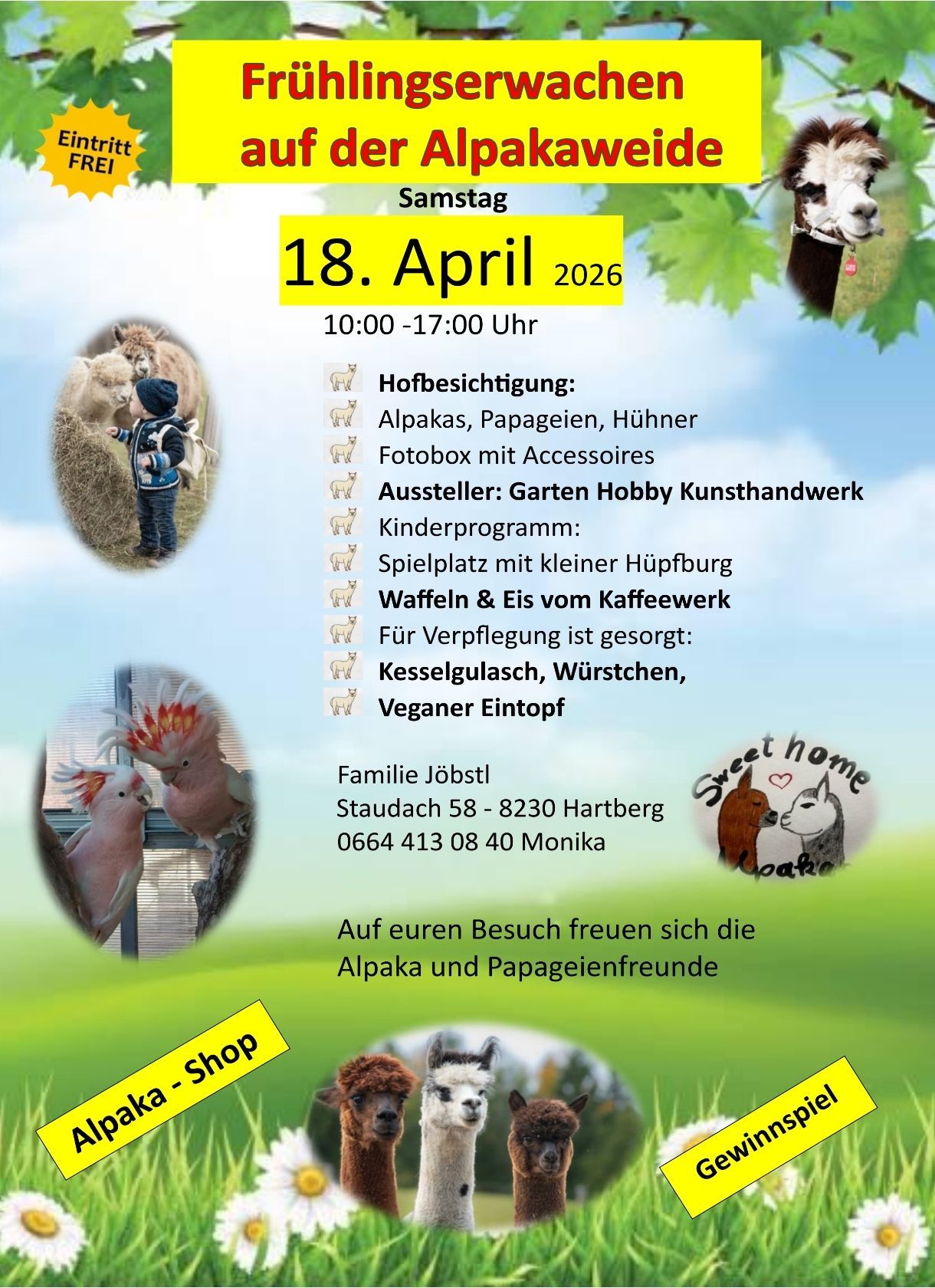 Hofbesuch am 18. April 2026 von 10:00 bis 17:00 Uhr. Vorgestellt werden Alpakas, Papageien, Hühner und eine Fotobox. Kinderprogramm mit Spielplatz und Eis. Erfrischungen wie Brezen, Würste und vegane Optionen. Kontaktieren Sie Familie Jobstl unter Staudach 58, 8230 Hartberg, oder rufen Sie 0664 413 08 40 an. Alpaka- und Papageienliebhaber willkommen.