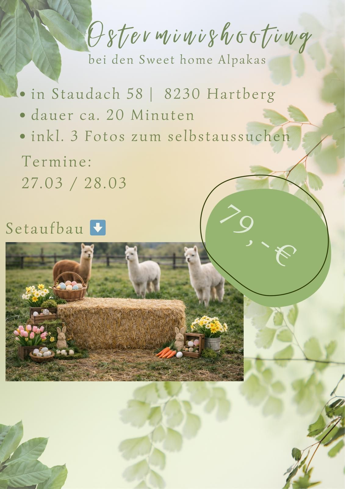 Osterfotoshooting mit Alpakas in Hartberg. Der Shooting dauert ca. 20 Minuten und beinhaltet 3 Fotos. Termine sind am 27. und 28. März. Preis 79 Euro.