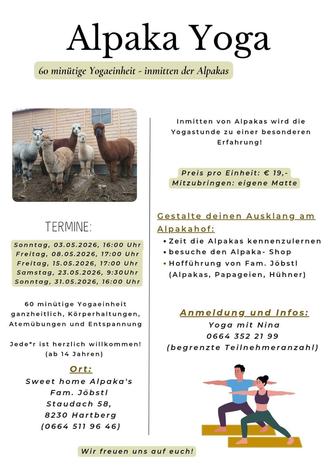 Das Bild zeigt einen Flyer für eine Yoga-Session mit Alpakas. Termine und Zeiten für die Sitzungen sind aufgelistet. Kontaktinformationen werden bereitgestellt. Der Flyer enthält ein Bild von Alpakas und einem Paar, das Yoga praktiziert.