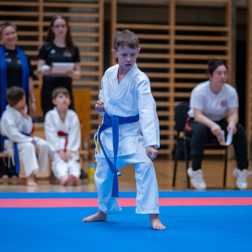 Bild enthält, Karate, Martial Arts, Person, Judo, Adult, Female, Woman, Boy, Child, Male