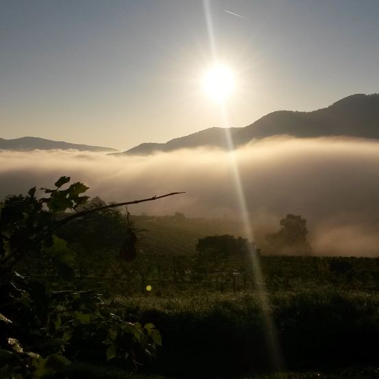 Bild enthält, Flare, Light, Sunlight, Nature, Outdoors, Sky, Weather, Vegetation, Scenery, Sun