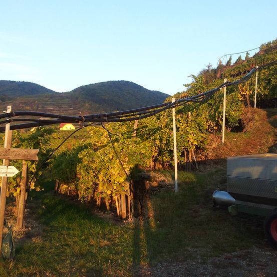 Bild enthält, Nature, Outdoors, Countryside, Machine, Wheel, Rural, Farm, Scenery, Tire, Vineyard