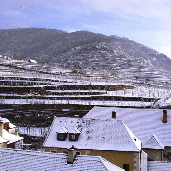 Bild enthält, Neighborhood, Architecture, Building, Outdoors, Suburb, Countryside, Nature, Housing, House, Roof