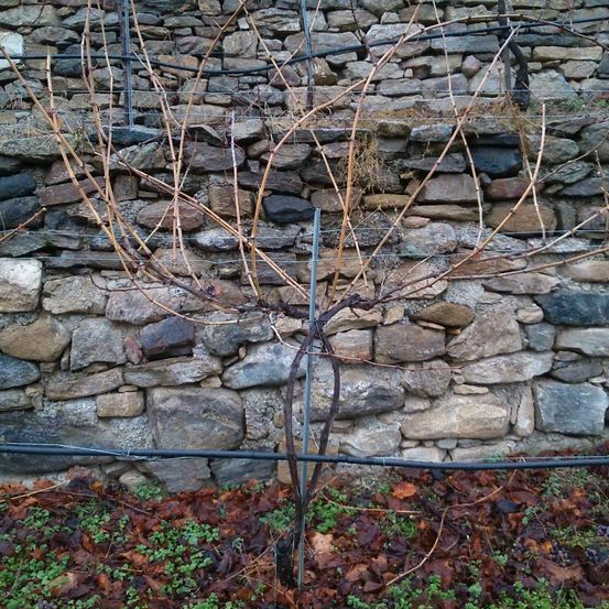 Bild enthält, Architecture, Building, Wall, Stone Wall, Rubble, Slate