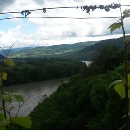 Bild enthält, Green, Vegetation, Outdoors, Rainforest, Tree, Landscape, Scenery, Woodland, Jungle, Wilderness