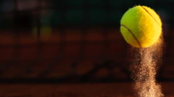 v1_migrated_image_2997146