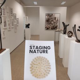 Das Innere einer Kunstgalerie mit weißen Wänden, Deckenleuchten und einer Reihe weißer Podeste, die Skulpturen und Kunstwerke präsentieren, darunter ein gerahmtes Gemälde und ein Buch mit dem Titel 'Staging Nature'.