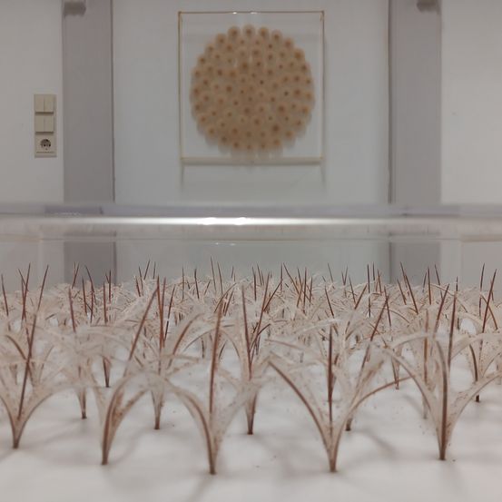 Ein Raum mit einer weißen Wand und einer Glasvitrine, die ein Kunstwerk aus getrocknetem Gras auf einer weißen Oberfläche enthält.