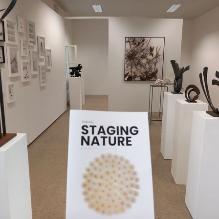 Innenansicht einer Kunstgalerie mit verschiedenen Skulpturen. Gerahmte Kunstwerke reihen sich an den Wänden auf, und ein Buch mit dem Titel Staging Nature ist im Vordergrund sichtbar.