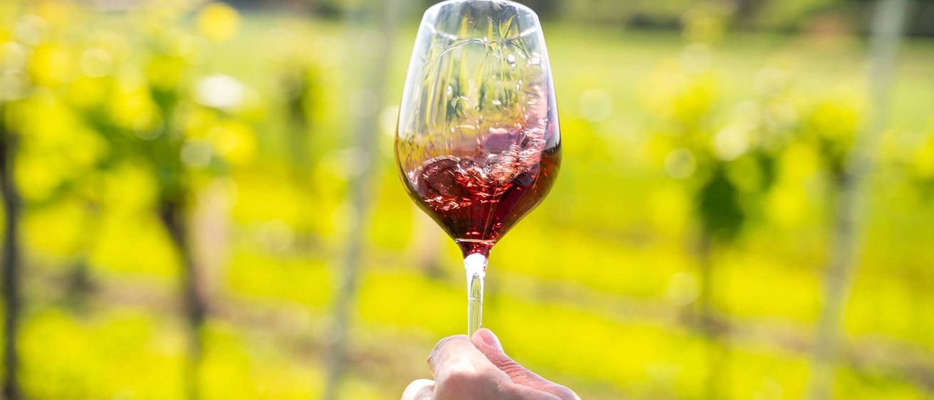 v1_migrated_image_77133937