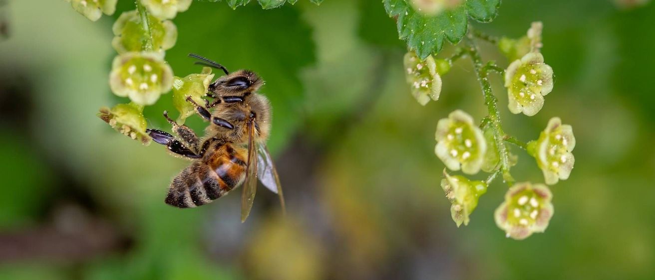 v1_migrated_image_58723891