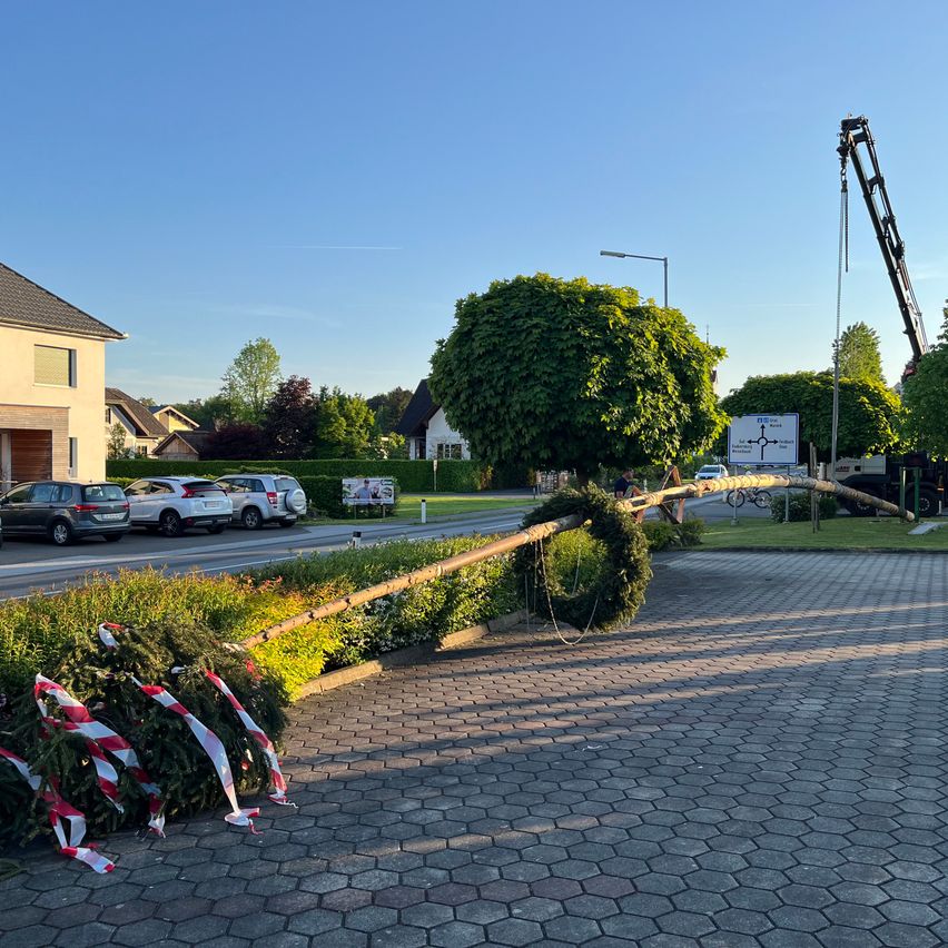 Ein großer Baumast liegt auf dem Bürgersteig. Ein Kran ist im Hintergrund. Mehrere Autos sind vor einem Haus geparkt.