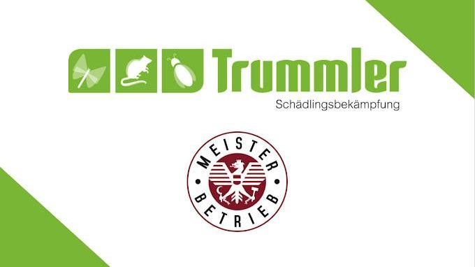 v1_migrated_image_26222645