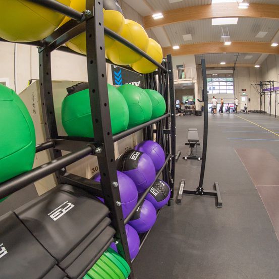 Ein Fitnessstudio mit verschiedenen farbigen Trainingsbällen auf einem Regal, einer Bank und einer Langhantel. Das Fitnessstudio hat eine Holzdecke und eine Glaswand mit Blick nach draußen.