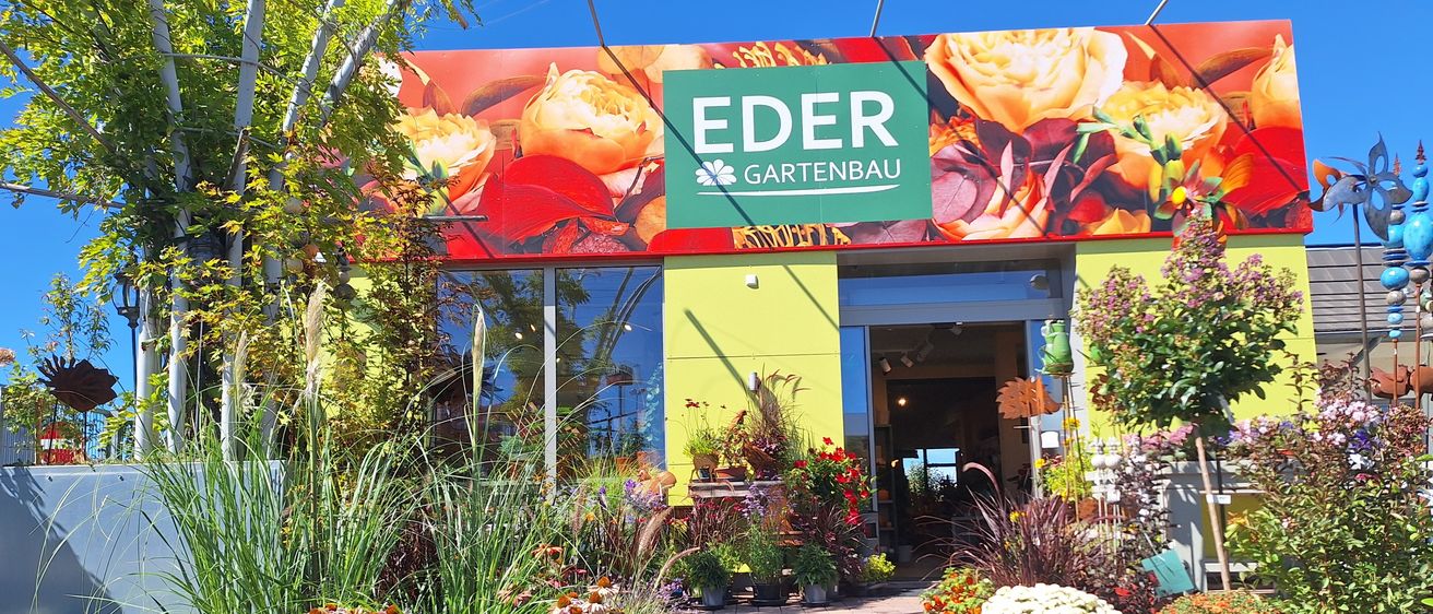 Der Eingang eines Gartengeschäfts namens Eder Gartenbau mit einer bunten Ausstellung von Blumen und Pflanzen.