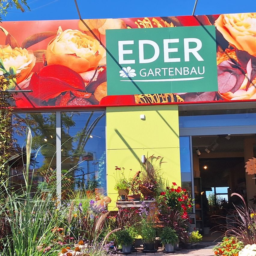 Der Eingang eines Gartengeschäfts namens Eder Gartenbau mit einer bunten Ausstellung von Blumen und Pflanzen.